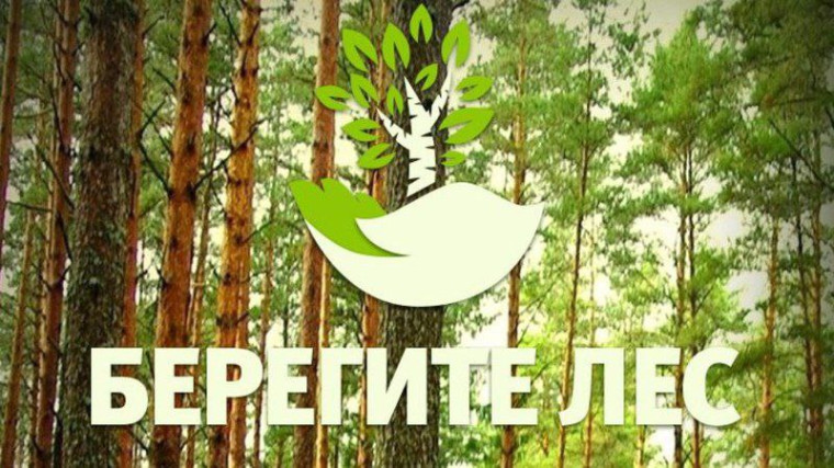 Линейка на тему "Сохранение лесов и действия при лесном пожаре".
